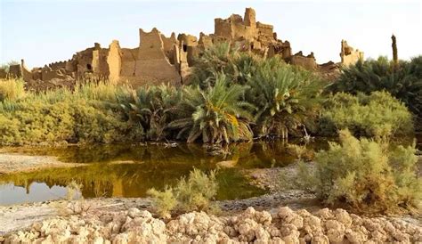 L'Ascension de Kambari: Un Roi Kajete au Coeur du Néolithique Nigérien et une Renaissance Artistique Inattendue